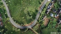 Karena memiliki potensi wisata yang sangat bagus, warga sekitar mengubah bukit kebun teh yang sebelumnya dipenuhi rumput liar menjadi bukit yang diubah sedemikian rupa untuk melihat pemandangan hamparan perkebunan teh. (Wisma Putra/detikTravel)