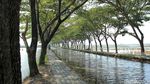 Foto: Saluran Irigasi Sejuk dan Instagramable di Kendal