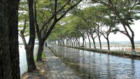 Berlokasi di Jalan Kyai Mukhibin, Desa Purwokerto, Kecamatan Brangsong, Kendal, Rowo Bladon bisa jadi pilihan bagi kamu yang mudik ke Jawa Tengah (Randy/detikTravel)