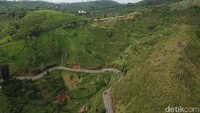 Lanskap pemandangan kebun tehnya seperti bukit Teletubbies, apalagi di siang hari panorama awan yang ada di atas Gunung Wayang akan terlihat sangat indah sekali. (Wisma Putra/detikTravel)