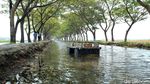 Foto: Saluran Irigasi Sejuk dan Instagramable di Kendal