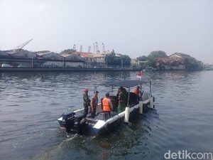 TNI AL: Yang Penting Buaya Ditangkap, Hidup Mati Urusan Belakangan