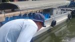 Saat Pasukan Katak Buru Buaya di Tanjung Priok