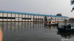 Saat Pasukan Katak Buru Buaya di Tanjung Priok