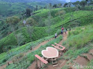 Rekomendasi Wisata di Pangalengan untuk Berlibur di Akhir Pekan