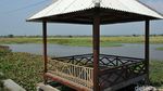 Foto: Saluran Irigasi Sejuk dan Instagramable di Kendal
