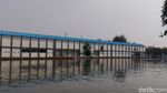Saat Pasukan Katak Buru Buaya di Tanjung Priok