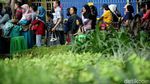 Antrean Bus Wisata Keliling Jakarta Mengular
