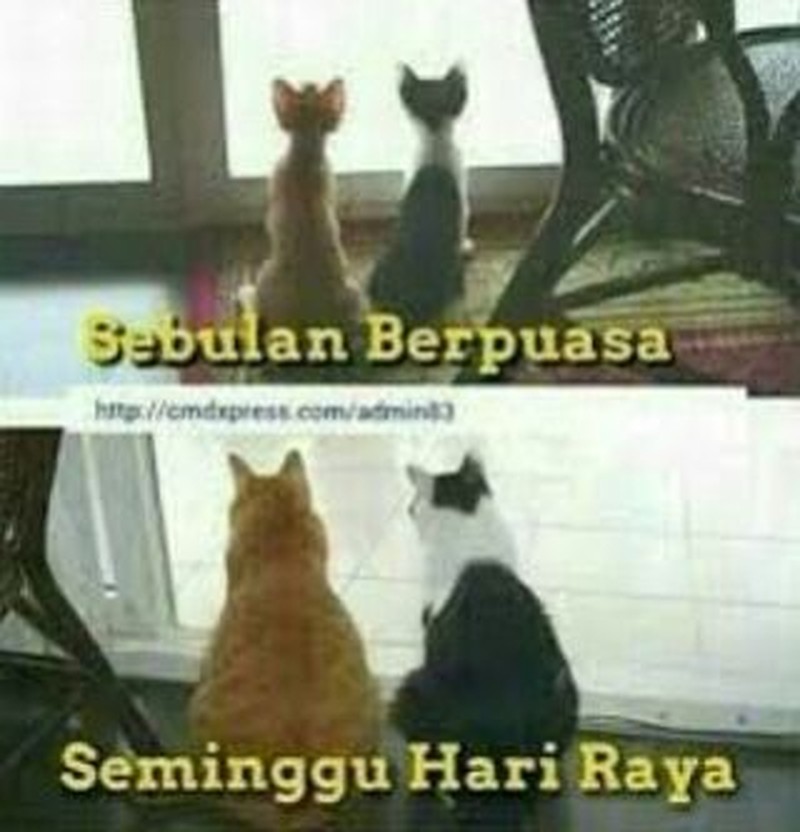 Meme gemukan habis lebaran