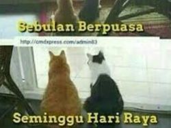 Meme Gemukan Abis Lebaran, Ngeselin Tapi Bikin Ngakak