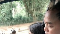 Lagi kasi makan rusa kita,  tulis Aziz. Duh, yang lagi kasih makan rusa tapi yang terlihat sedang melahap sepotong pisang justru anak yang ada dihadapan Aziz Gagap. Rusanya justru melihat mereka dari balik kaca jendela mobil. Ada ada aja, deh. Foto: Instagram ajis_gagap22