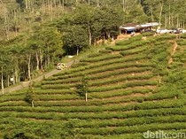 Prakiraan Cuaca DIY Hari Ini: Hujan Lebat di Perbukitan Menoreh