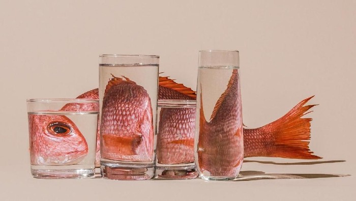 seni distorsi makanan
