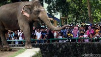 Taman Margasatwa Ragunan menjadi favorit keluarga berlibur karena tiketnya cukup murah.