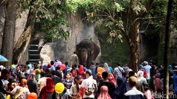 Jika kamu punya uang sebanyak USD 1 triliun, kamu bisa membelikan tiket masuk ragunan selama setahun penuh untuk seluruh penduduk Bumi. Foto: Lamhot Aritonang