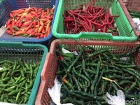 Harga Pangan Pasca Lebaran Masih Tinggi