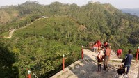 Khusus memasuki Bukit Ngisis ini ada tiket masuk tersendiri Rp 5.000, kemudian mendapatkan satu kemasan bungkus teh. Namun pengunjung yang tidak ingin masuk di Bukit Ngisis juga bisa swafoto dengan hamparan kebun teh maupun latar belakang pegunungan serta pemandangan alam. (Eko Susanto/detikTravel)
