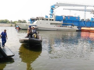 TNI AL Duga Hanya Ada 1 Buaya yang Lepas di Pondok Dayung
