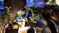 Serangga, berang-berang sampai pinguin juga ada di Jakarta Aquarium (Jakarta Aquarium)