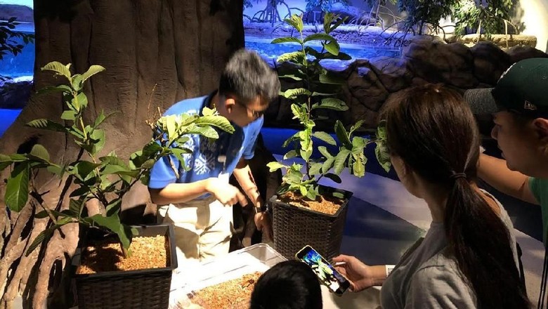 Foto: Jakarta Aquarium Foto: Jakarta Aquarium