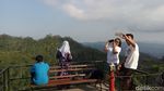Foto: Kebun Teh di Kulon Progo, Cantik Juga!