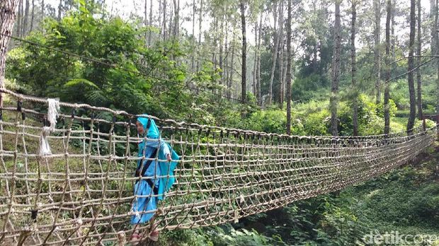 Mudik ke Sumedang, Ada Hutan Pinus Secantik Ini