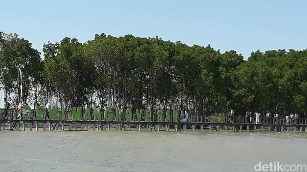 Hutan mangrove ini berada di Desa Kaliwlingi, Brebes. Tak sedikit pengunjung yang datang saat libur Lebaran ini (Imam/detikTravel)