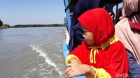Selama perjalanan, wisatawan bisa menyaksikan sisa-sisa tambak yang hancur akibat abrasi. Kawasan bekas tambak ini sekarang menjadi laut, tapi tergolong dangkal. Kedalaman air laut hanya 1,5 meter (Imam/detikTravel)