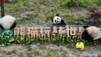 Bukannya memasukan bola ke gawang lawan, panda-panda itu justru asyuk sendiri (Foto: Dok. Xinhua/Zhang Chaoqun)