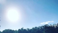 Menikmati secangkir latte hangat di pagi hari, jadi cara Sammy untuk mengagumi pemandangan alam yang indah. Foto: Instagram @sammysimorangkir