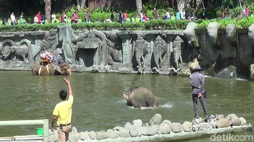 Keramaian Bali Zoo saat libur Lebaran 2018