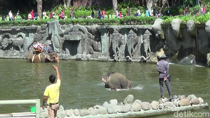 10 Wisata Edukasi di Bali yang Menyenangkan