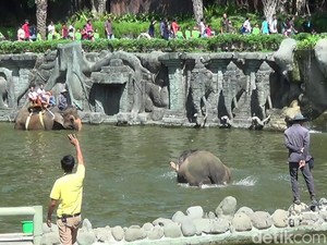 10 Wisata Edukasi di Bali yang Menyenangkan