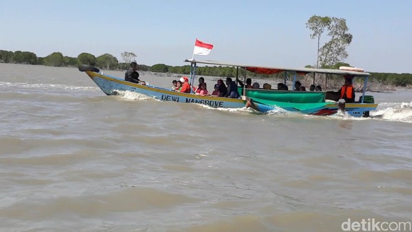 Jarak tempuh dengan perahu motor dari dermaga ke hutan mangrove berkisar antara 15 menit (Imam/detikTravel)