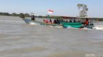 Foto: Brebes Punya Wisata Hutan Mangrove