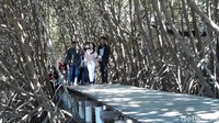 Pada lebaran kali ini, jumlah wisatawan yang datang rata rata berjumlah sekitar 6.000 orang per hari. Jumlah ini setara 300 persen dari jumlah wisatawan yang berkunjung setiap harinya (Imam/detikTravel)