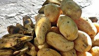 Ke Pasar Beringharjo, jangan lupa mampir ke lapak Pak Ranto yang ada di Pasar Beringharjo. Ragam kukusan ini dijual dengan harga Rp 3.000-an. Foto: Instagram @dhikanov