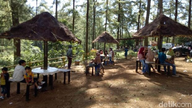 Libur ke Sulsel, Berkuda Mengelilingi Hutan Pinus yang Sejuk