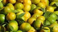 Lewat Garut? 5 Oleh-oleh Ini Jangan Lupa Dibawa Pulang!