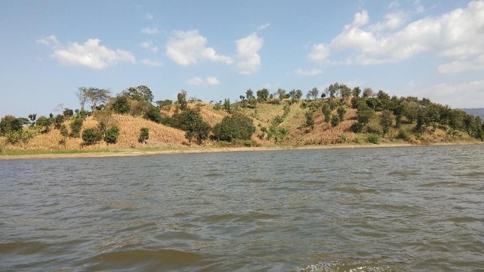 Bukit Teletubbies Waduk Cacaban