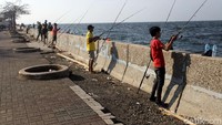 Mereka berjejer di sepanjang pantai.