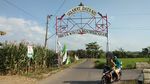 Foto: Sebelum Balik ke Jakarta, Main Dulu ke Waduk Cacaban Tegal