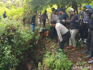 Sarang Ular yang Makan Wanita Bulat-bulat di Sultra Ditemukan