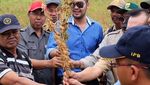 Ini 10 Gaya Kulineran Prananda Paloh, Putra dari Surya Paloh