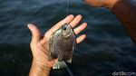 Memancing untuk Mengisi Waktu Libur Lebaran
