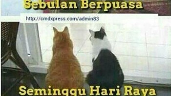 Mau berkeluh kesah sama orang kantor karena jadi lebih gemuk setelah lebaran juga bisa. Foto: Istimewa