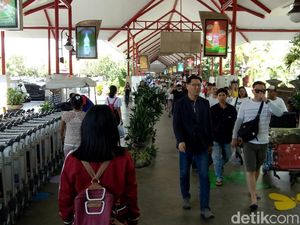 Puncak Arus Balik di Bandara Ngurah Rai Pagi Ini hingga Besok