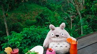 Masih di Ubud, ini menu makan siang Gani. Nampak sehat dan mengenyangkan sambil ditemani boneka Totoro. Foto: Instagram ganegani
