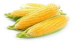 Jangan Terkecoh! 12 Sayuran Ini Sebenarnya Adalah Buah