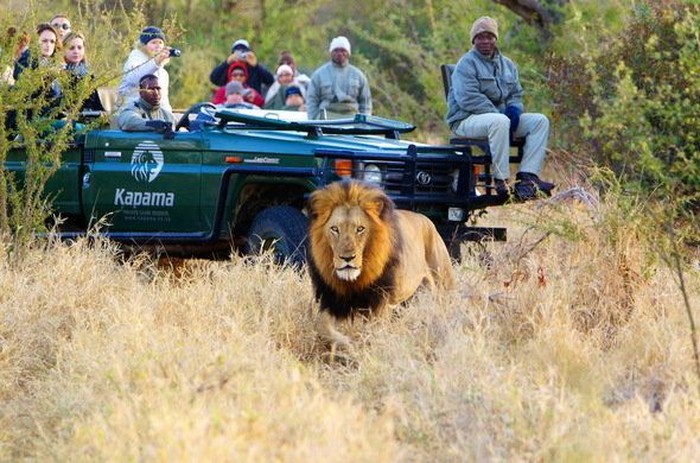 Taman Nasional Kruger